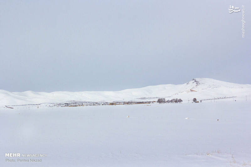عکس/ بارش برف در چهارمحال و بختیاری