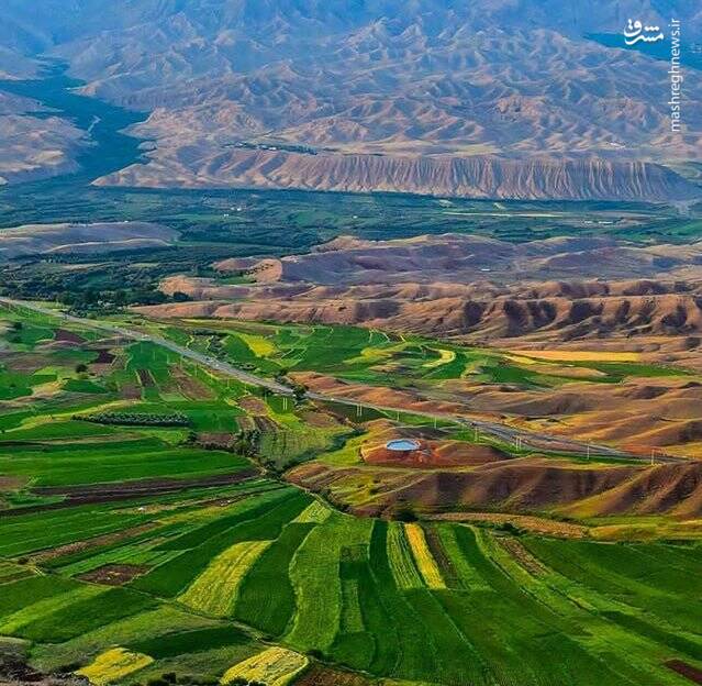 عکس/ نمایی زیبا از مزارع سرسبز زنجان