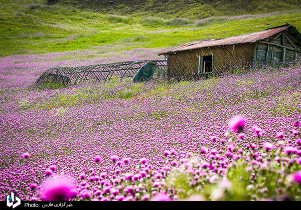 خلخال؛ تاج طبیعت ایران