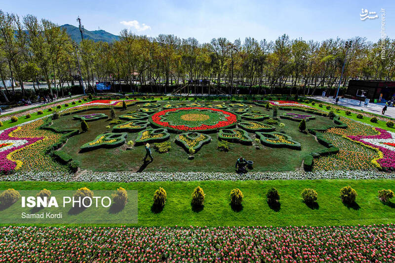 عکس/ هفتمین جشنواره لاله‌های البرز