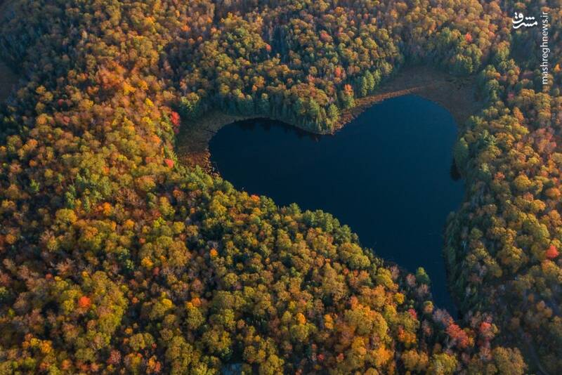 وقتی طبیعت عاشق می‌شود