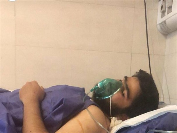 باز هم امنیت پارک‌ها به خطر افتاد/ حمله به یک دانشجو توسط فرد سگ گردان/ چرا با سگ گردانی‌ها برخورد جدی نمی‌شود؟