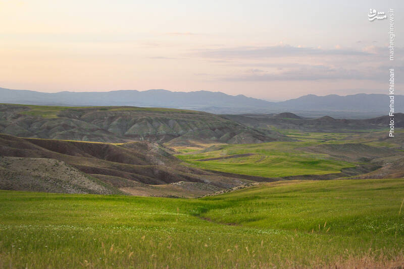 دشت‌های سرسبز “بخشایش”