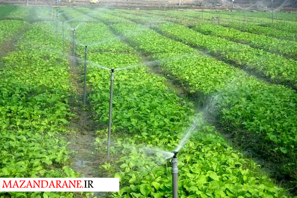 افتتاح و بهره برداری از ۷ پروژه زیربنایی و تولیدی کشاورزی در آمل