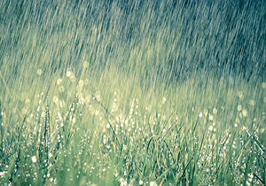 بارش شدید باران که مردم قم را غافلگیر کرد + فیلم