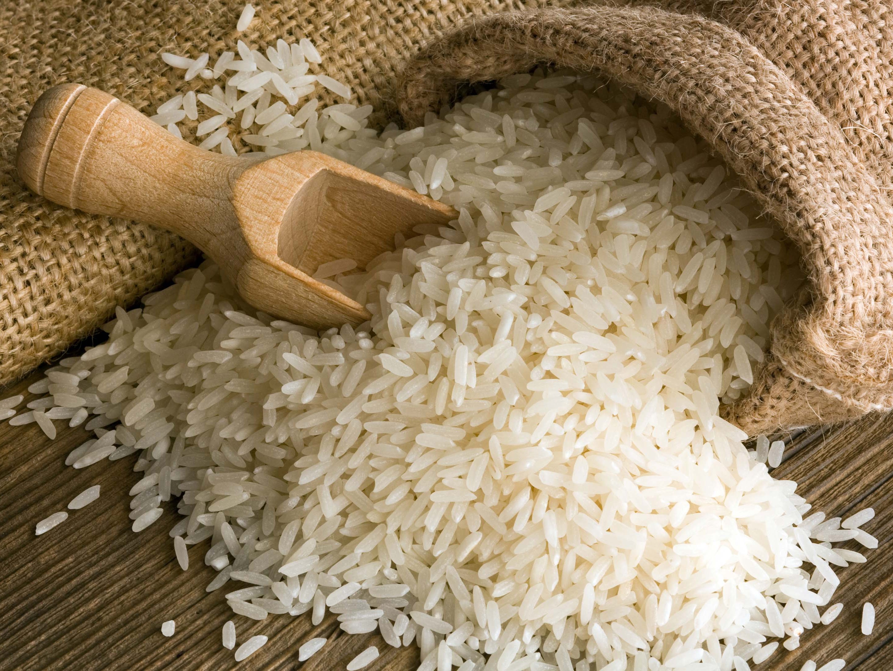 پیش بینی تولید ۱۸۰ هزار تن برنج در شالیزارهای آمل