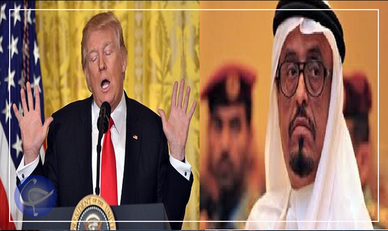 وقتی ترامپ صدای حکام عرب را درمی آورد/ چرا ترامپ به ما می‌رسد شیر است ولی در برابر ایران خرگوش! +فیلم