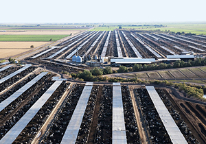 روایت جدید در علت چرب بودن قیمت گوشت + صوت