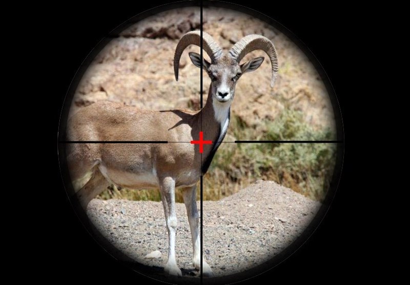 دستگیری یک متخلف شکار با فشنگ جنگی در امیری لاریجان