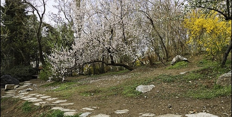 درهای بوستان‌های جنگلی تا ساعت ۱۲ شب باز است/ماجرای قطع برق در یکی از بوستان‌ها