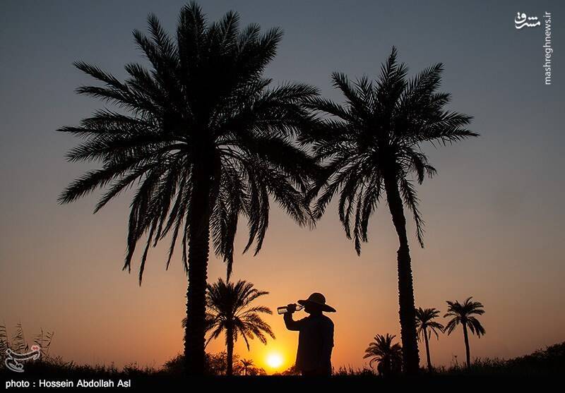 تابستان داغ آبادان