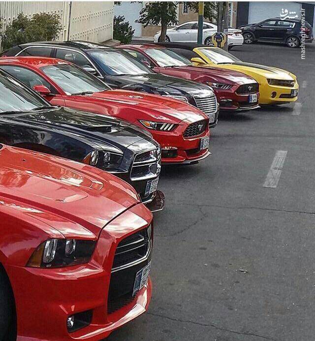 عکس/ دورهمی آمریکایی‌ها در تبریز!