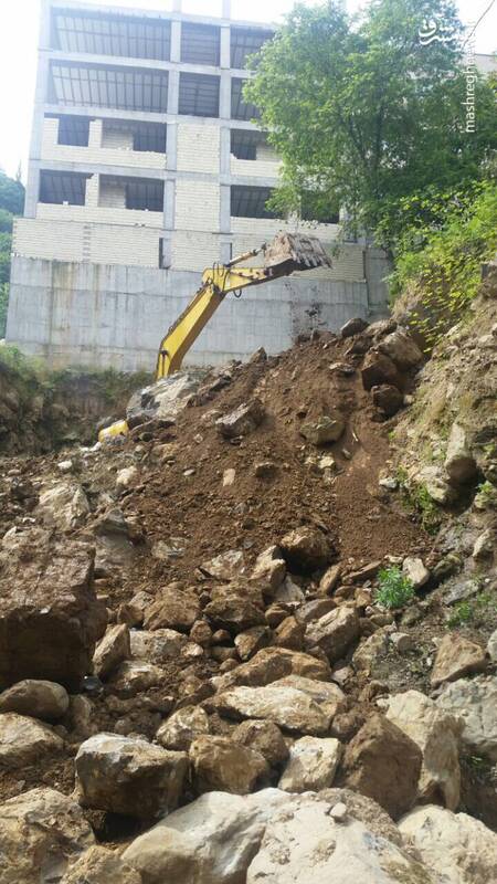 جنگل خواری یک سفیر در لاهیجان! +تصاویر