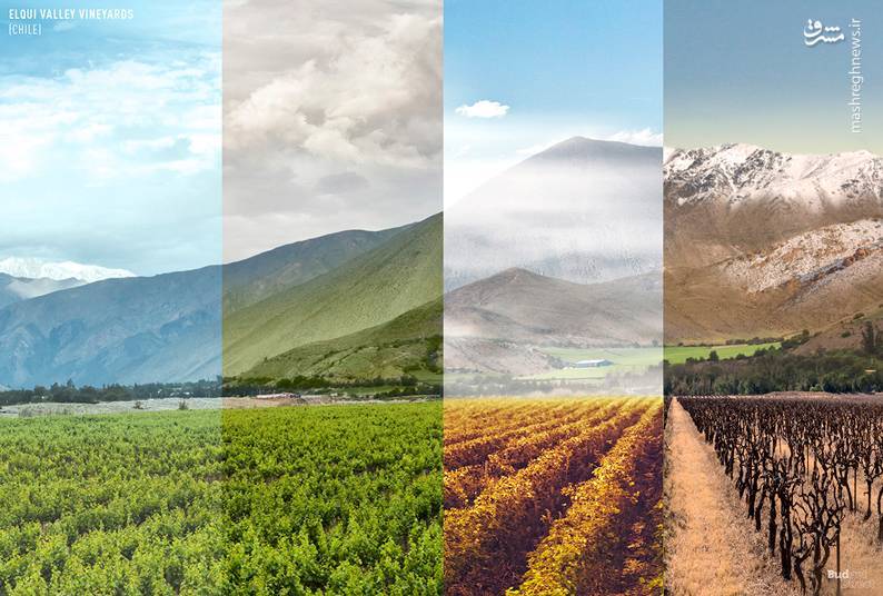 عکسی که گرفتنش یک سال طول کشید