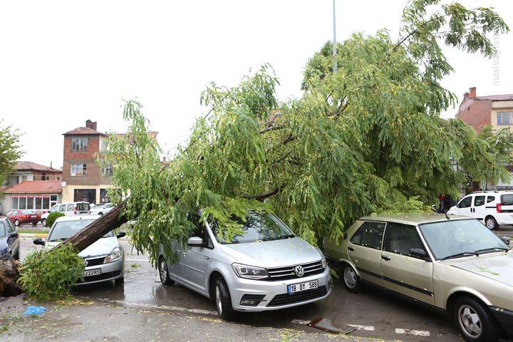 خسارت شدید طوفان در شمال ترکیه