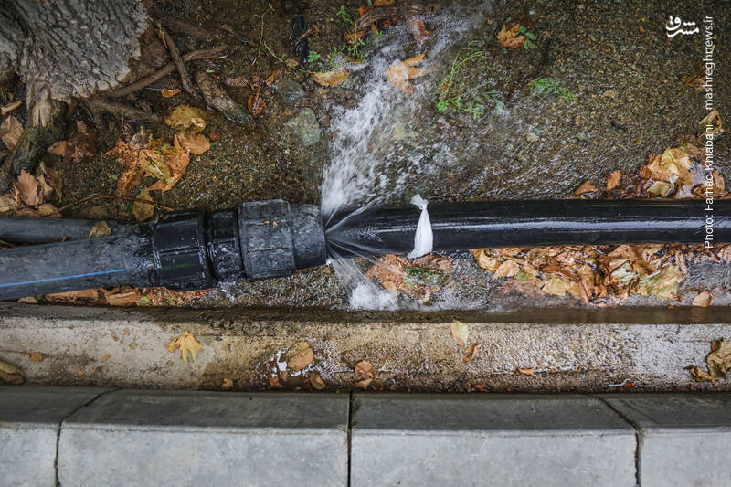 منابع‌مان را چگونه هدر می‌دهیم