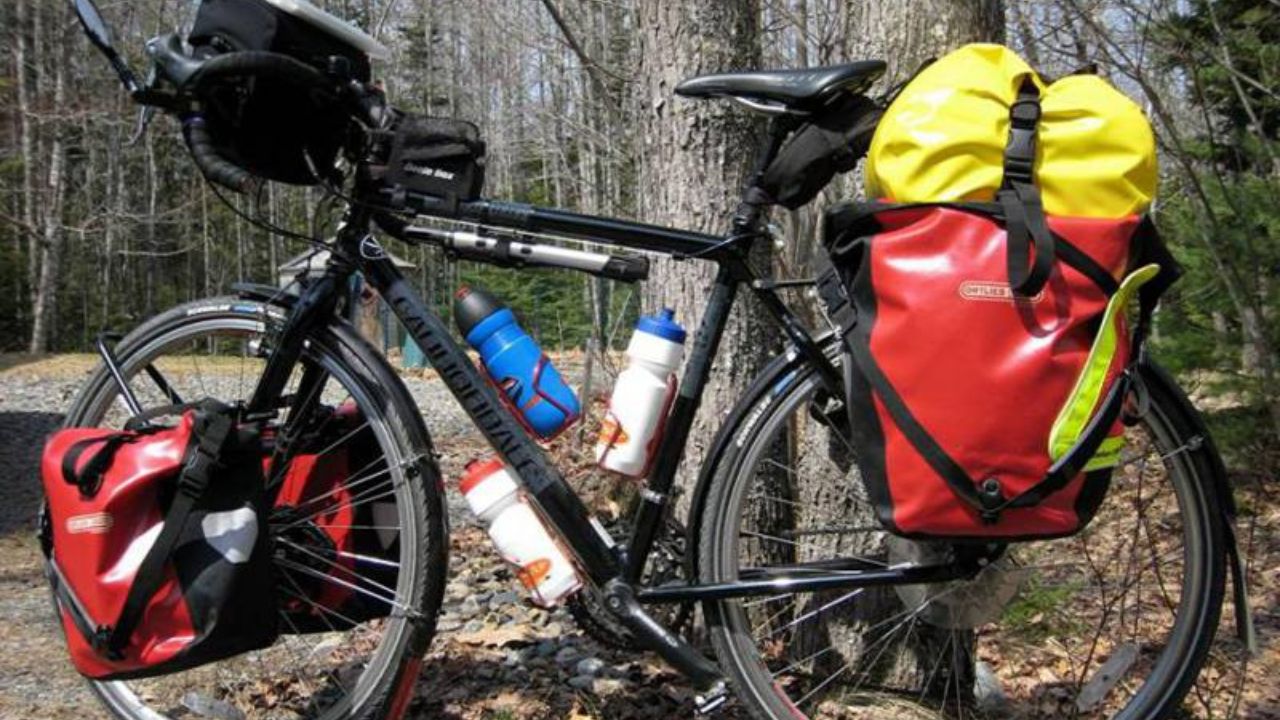 ضرب و شتم وحشیانه توریست خارجی توسط ۷ سارق در تنکابن