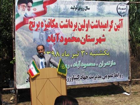 برداشت مکانیزه برنج در سطح یک و نیم هکتار از شالیزارهای محمودآباد