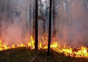 آتش سوزی در سیبری همچنان ادامه دارد