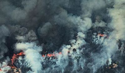 آتش دیوانه در جنگل‌های آمازون + فیلم