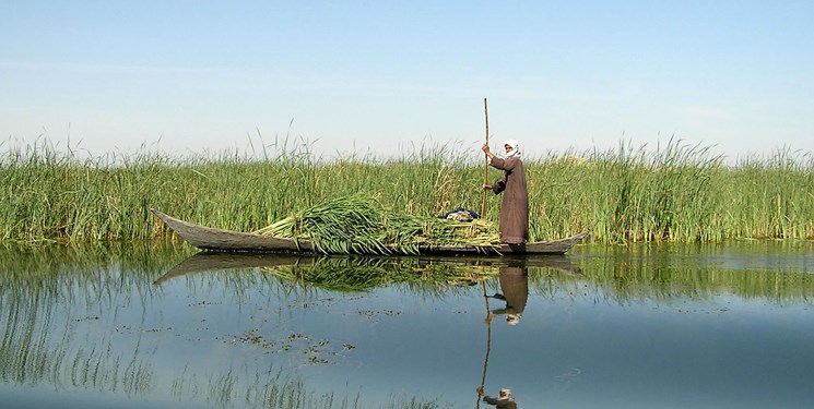 بخشی از کانون‌های گرد و غبار تالاب هامون سیراب شدند