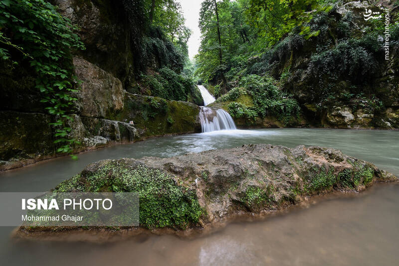 آبشاری دیدنی در میان انبوهی از درختان