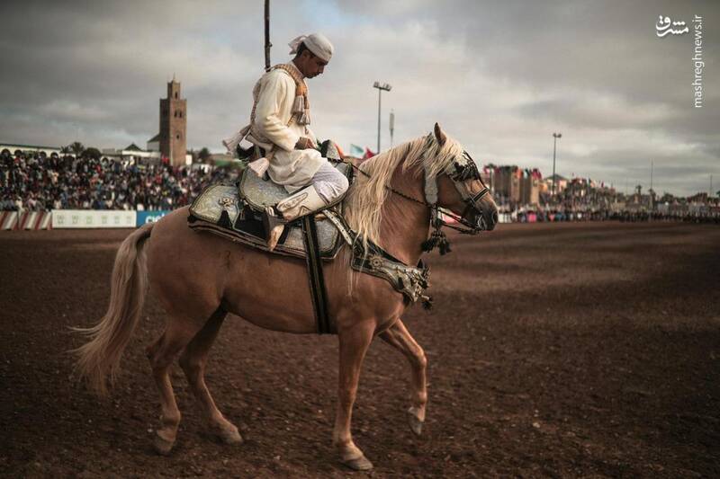 جشنواره اسب سواری در مراکش‎
