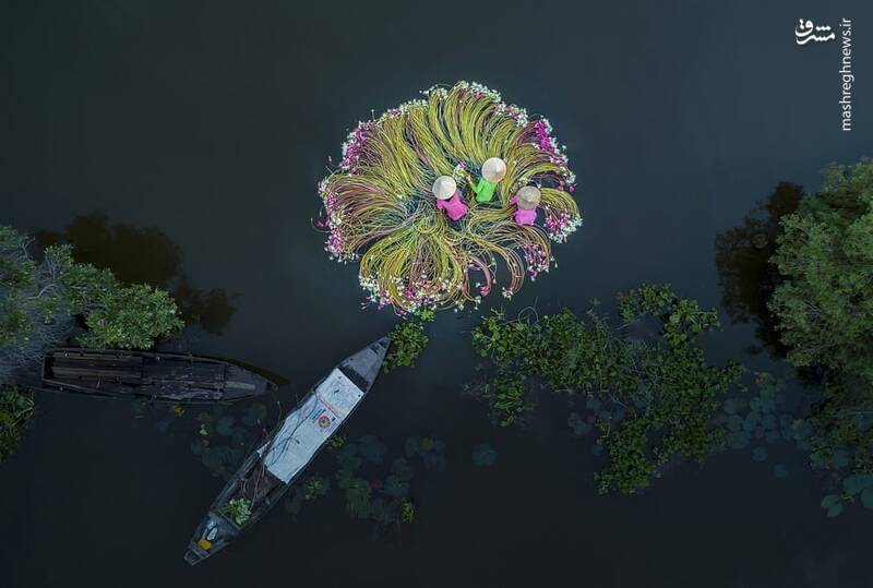 برندگان مسابقه عکاسی با پهپاد