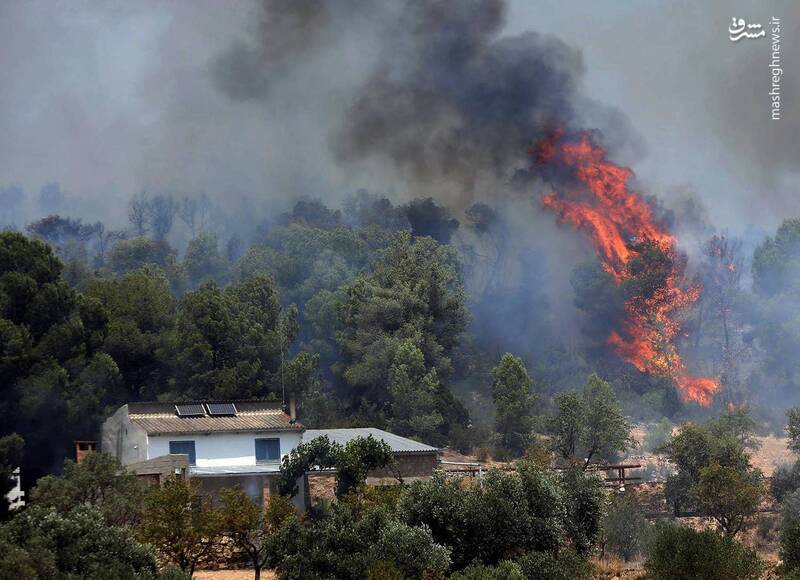 آتش سوزی گسترده در جنگل‌های اسپانیا