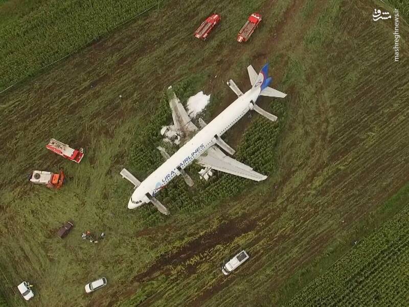 فرود اضطراری هواپیمای در مزارع ذرت