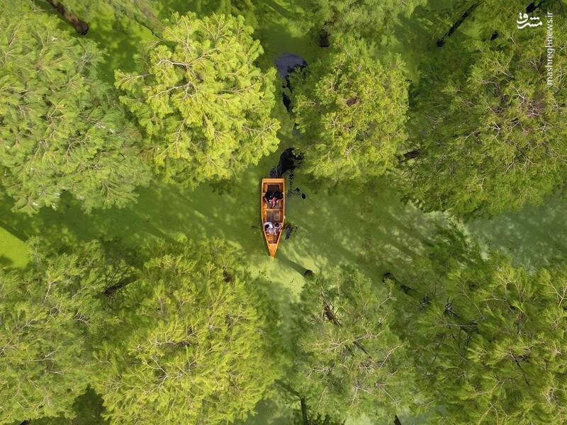 تالابی زیبا در چین