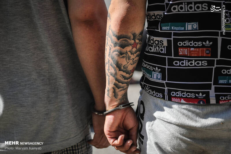 دستگیری ۱۸۸ سارق حرفه‌ای در تهران