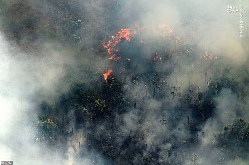 جدیدترین تصاویر از آتش‌سوزی آمازون