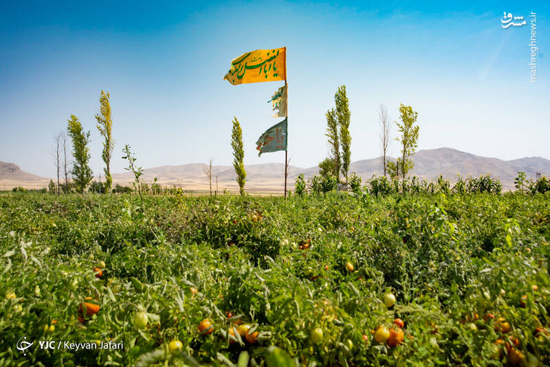 بیرق رزق زنجانی‌ها