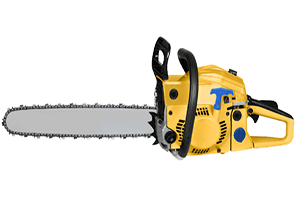 انتقام درخت نخل حین قطع شدن با اره برقی + فیلم