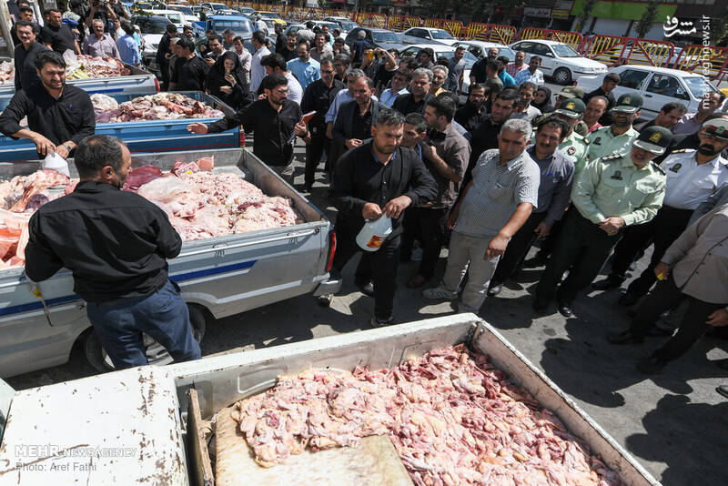 برخورد تعزیرات با متخلفین بازار مرغ