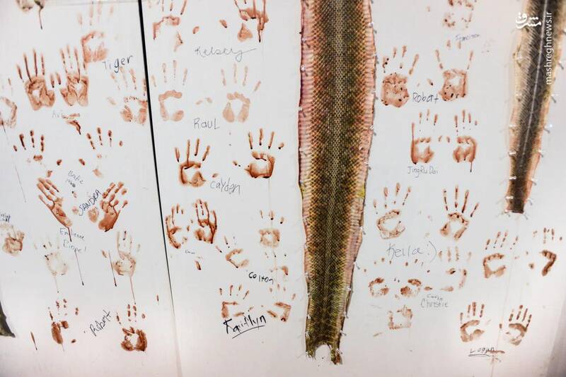 سرگرمی مخوف کودکان تگزاس