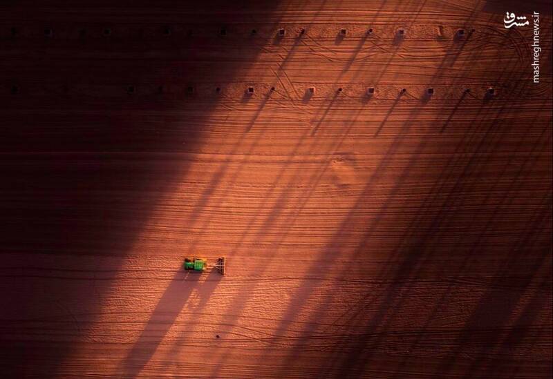 سواحل کالیفرنیا سوژه نشنال جئوگرافیک