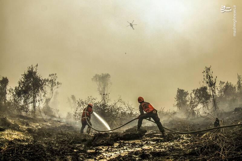 تصاویر جدید از آتش سوزی گسترده در اندونزی