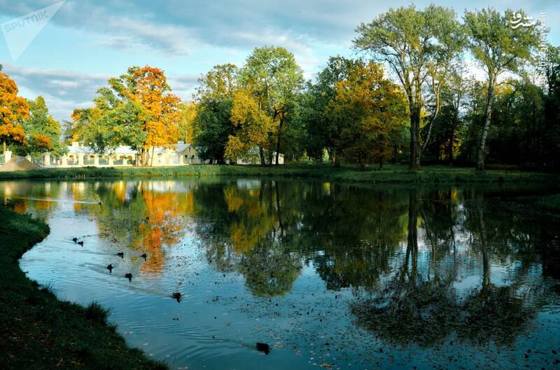 جلوه‌های پاییزی در سن‌پترزبورگ