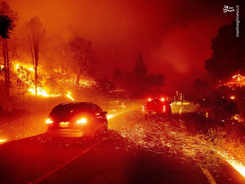 تصاویری از آتش سوزی گسترده در کالیفرنیا
