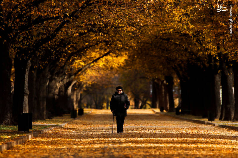 تصاویر زیبا از فرا رسیدن فصل پاییز در نقاط مختلف جهان