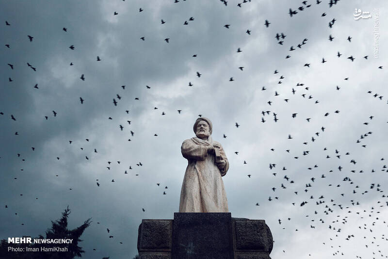 میهمانان زیبای آسمان همدان