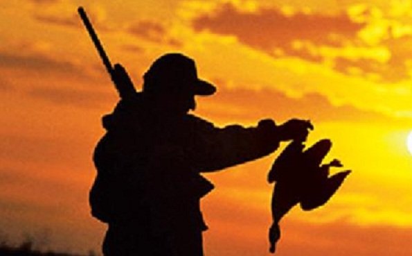 دستگیری یک شکارچی غیرمجاز در آمل