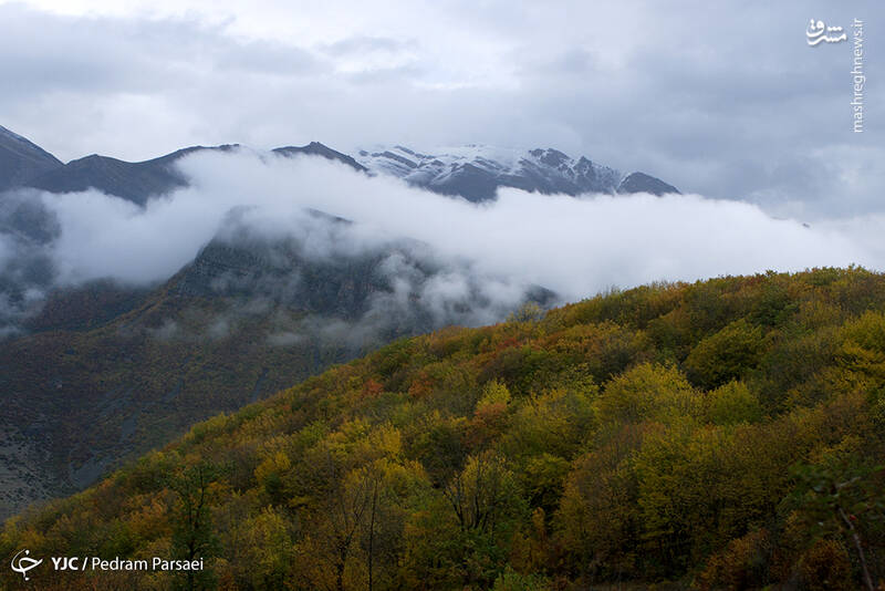 طبیعت پاییزی جنگل سیاه بیشه
