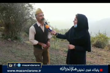 فصل عاشقی مرال ها و عشق بازی دوستداران مرال ها در دل طبیعت زیباست /عمو پیرطاهر فقط یک کلبه می‌خواهد و مجوز کاخ لاکچری نمی‌خواهد