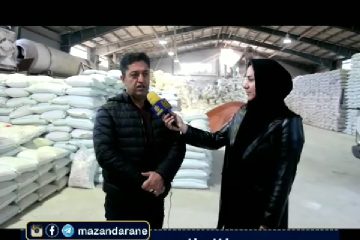 شرکت دانش محور کود گلفام شمال را بیشتر بشناسید/ حضور موثر و موفق در صحنه اقتصادی و ورزشی کشور