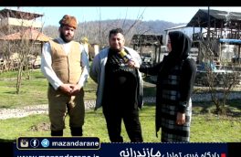 بوم گری لاله زار با ۴۵ میلیارد تومان اعتبار به صورت رسمی در آمل افتتاح شد