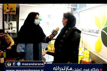 تولید کنندگان و سرمایه گذاران حاضر در نمایشگاه فرصت های سرمایه گذاری در آمل چه گفتند؟