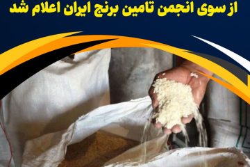 مراکز خرید برنج کشاورزان در مازندران از سوی انجمن تامین برنج ایران اعلام شد
